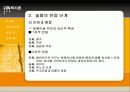 장애인 가족의 문제와 해결방안 및 복지 대책 16페이지
