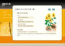 장애인 가족의 문제와 해결방안 및 복지 대책 23페이지