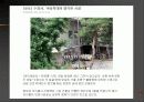 아동학대 국내-외 사례 및 사회 복지적 개입 방안 (A+레포트)★★★★★ 22페이지
