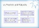 개별화 학습-교육방법 및 교육공학 29페이지