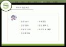 입양사업의 문제점과 개선방안 제시 (A+레포트) 16페이지