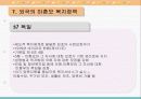 미혼모 가족 문제점과 복지 대책(외국복지대책사례)(A+레포트) 37페이지