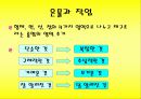프뢰벨 프로그램-놀이와 유아의 발달(A+레포트) 7페이지