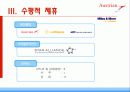 오스트리아항공의 전략 14페이지
