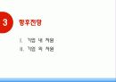 오스트리아항공의 전략 17페이지