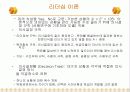 리더쉽이론 12페이지