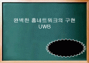 무선기술 및 홈네트워크의 완벽구현 UWB 통신 기술 1페이지