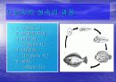 [해양생물학] 넙치에 대해서 6페이지