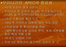 APEC의 중요성과 우리나라와의 상관관계 15페이지
