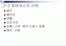 중세시대의 생활 모습 12페이지