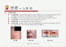 노화와 레티놀(비타민A) 16페이지