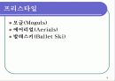 스키의 경기방법및 종목 18페이지