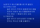 형관분석기 8페이지