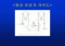 형관분석기 11페이지