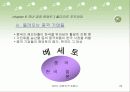 2010 대한민국 트렌드 ppt 23페이지