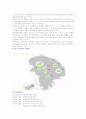 하이마트 기업 분석 13페이지