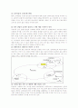 하이마트 기업 분석 30페이지