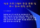 방송 프로그램 등급제 7페이지