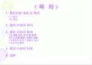 음반과 음반 시장의 특성 : 음반 산업에의 접근들 2페이지