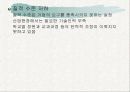 청년실업의 원인과 해결방안 9페이지