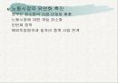 청년실업의 원인과 해결방안 15페이지