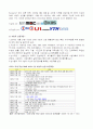 지상파와 위성 DMB 11페이지