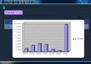 휴대인터넷 현황과 발전전망 13페이지