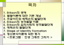 [상담심리학] 에릭슨의 심리사회적 성격 발달이론 2페이지