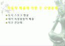 자동차가 가지는 의미와 환경에 미치는 요인들 5페이지