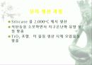 자동차가 가지는 의미와 환경에 미치는 요인들 11페이지