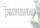 자동차가 가지는 의미와 환경에 미치는 요인들 13페이지