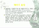 자동차가 가지는 의미와 환경에 미치는 요인들 15페이지