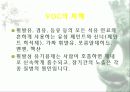 자동차가 가지는 의미와 환경에 미치는 요인들 17페이지