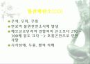 자동차가 가지는 의미와 환경에 미치는 요인들 22페이지