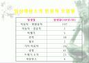 자동차가 가지는 의미와 환경에 미치는 요인들 23페이지