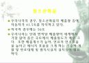 자동차가 가지는 의미와 환경에 미치는 요인들 27페이지