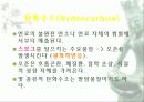 자동차가 가지는 의미와 환경에 미치는 요인들 28페이지