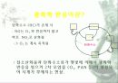 자동차가 가지는 의미와 환경에 미치는 요인들 30페이지