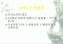 자동차가 가지는 의미와 환경에 미치는 요인들 33페이지