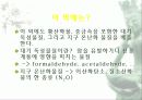 자동차가 가지는 의미와 환경에 미치는 요인들 36페이지