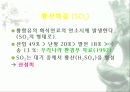 자동차가 가지는 의미와 환경에 미치는 요인들 37페이지