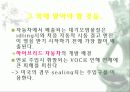 자동차가 가지는 의미와 환경에 미치는 요인들 39페이지