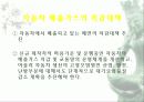 자동차가 가지는 의미와 환경에 미치는 요인들 40페이지