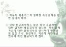 자동차가 가지는 의미와 환경에 미치는 요인들 41페이지