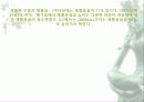 자동차가 가지는 의미와 환경에 미치는 요인들 46페이지