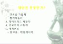 자동차가 가지는 의미와 환경에 미치는 요인들 48페이지