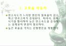 자동차가 가지는 의미와 환경에 미치는 요인들 49페이지