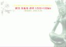 자동차가 가지는 의미와 환경에 미치는 요인들 50페이지