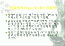 자동차가 가지는 의미와 환경에 미치는 요인들 63페이지