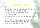 자동차가 가지는 의미와 환경에 미치는 요인들 75페이지